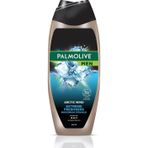 Palmolive Men Duş Jeli Artıc Wınd 3 In1 500 Ml