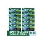 Palmolive MEN NORTHERN OCEAN CANLANDIRICI BANYO, EL SABUNU 4İN1 90GR (10 ADET)