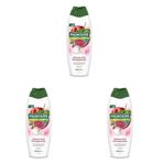 Palmolive Naturals B Vitamini ve Nar 650 ml Duş Jeli (3 paketi)