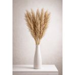 Pampas Otu 10’lu Demet | 80–110cm Uzun Boy | Doğal Kurutulmuş Pampas Çiçeği | Ev & Salon Dekoru