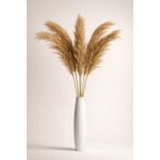 Pampas Otu 5'li Demet | 160–180cm Uzun Boy | Doğal Kurutulmuş Pampas Çiçeği | Ev & Salon Dekoru