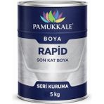 Pamukkale 1402 Rapid Endüstriyel Boya 60-70 Gloss 5 Kg Krom Sarı Ral 1023