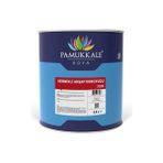 Pamukkale Naturel 2.5 lt Vernikli Ahşap Koruyucu