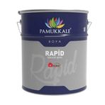 Pamukkale Rapid 9016 Beyaz 2.5 kg Endüstriyel Boya
