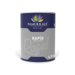 Pamukkale Rapid Beyaz 0.75 kg Endüstriyel Boya