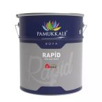 Pamukkale Rapid Mat Siyah 2.5 kg Endüstriyel Boya