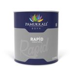 Pamukkale Rapid Ral 3020 Bayrak Kırmızı 2.5 kg Boya