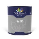 Pamukkale Rapid Ral 5017 Boncuk Mavi 2.5 kg Boya