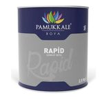 Pamukkale Rapid Ral 6001 Çimen Yeşili 2.5 kg Metal Yüzey Boyası