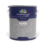 Pamukkale Rapid Siyah 2.5 kg Endüstriyel Boya