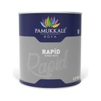Pamukkale Rapid Turuncu 2.5 kg Boya