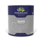 Pamukkale Rapid Zümrüt Yeşili 2.5 kg Boya