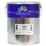 Pamukkale Siyah 2.5 Kg Mat Rapid Boya