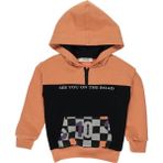 Panço Erkek Bebek Pembe Uzun Kol Sweatshirt Kanguru Cep ile Dama Desenli Tasarım - 0 - 6 Ay