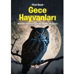 Panda Gece Hayvanları - Meraklı Minikler İçin İlk Okuma Kitapları