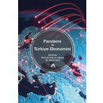 Pandemi ve Türkiye Ekonomisi - Harun Yakışık Hülya Ünlü