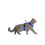 Pandogo Kedi Gezdirme Tasması Sevk Kayışlı Mavi