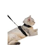 Pandogo Kedi Gezdirme Tasması Sevk Kayışlı Siyah