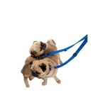 Pandogo Kedi Köpek Çiftli Gezdirme Tasması Mavi Çoklu Tasma Premium Kalite Model Amsterdam