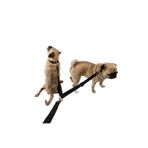 Pandogo Kedi Köpek Çiftli Gezdirme Tasması Siyah Çoklu Tasma Premium Kalite Model Amsterdam
