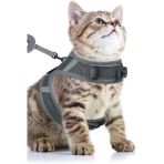 Pandogo Kedi Tasması Göğüs Gezdirme Tasması Uzun Sevk Kayışlı Gri M Beden