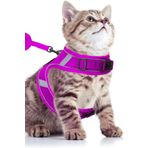 Pandogo Kedi Tasması Göğüs Gezdirme Tasması Uzun Sevk Kayışlı Mor M Beden