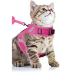 Pandogo Kedi Tasması Göğüs Gezdirme Tasması Uzun Sevk Kayışlı Pembe S Beden