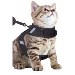Pandogo Kedi Tasması Göğüs Gezdirme Tasması Uzun Sevk Kayışlı Siyah L Beden