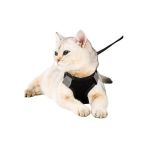Pandogo Siyah Kedi Tasması M Beden Sevk Kayışlı Terletmeyen Nefes Alan Reflektörlü Paris