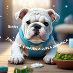 Pandora e Anubis A Dupla Dinâmica: Bulldog e Bullterrier