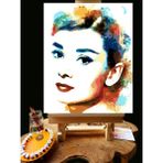 Pandora Hobi N1017 Numaralı Boyama Seti 40 x 50 cm