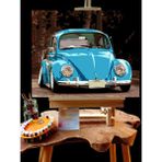 Pandora Hobi N1070 Numaralı Boyama Seti 40 x 50 cm