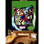 Pandora Hobi N1105 Numaralı Boyama Seti 40 x 50 cm