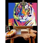 Pandora Hobi N1107 Numaralı Boyama Seti 40 x 50 cm