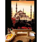 Pandora Hobi N1198 - Numaralı Boyama Seti - 40X50CM Kasnağa Gerili Ürün - Camii