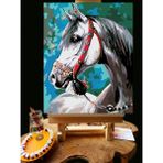 Pandora Hobi N1221 - Numaralı Boyama Seti - 40X50CM Kasnağa Gerili Ürün - Güzel At