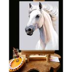 Pandora Hobi N1223 - Numaralı Boyama Seti - 40X50CM Kasnağa Gerili Ürün - Beyaz At