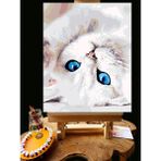 Pandora Hobi N1249 - Numaralı Boyama Seti - 40X50CM Kasnağa Gerili Ürün - Beyaz Kedi