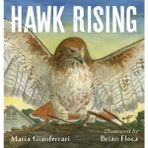 Pandora Kitabevi Hawk Rising (Hardcover)