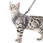 pangdi Kedi Koşum Takımı ve Tasma Seti Kaçış Korumalı Taktik Ekstra Büyük Yavru Kedi Koşum Duygusal Destek Kedi Yelek, Gri, XL