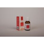 Panlife 10 ml Hint Yağı