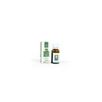 Panlife 15 ml Elemi Yağı