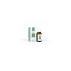 Panlife 15 ml Okaliptus Yağı