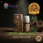 Panlife Sedir Ağacı Yağı 10 ml %100 Saf ve Doğal | Saç, Cilt ve Aromaterapi İçin Cedrus Yağı