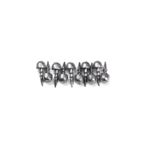 Panther Martın Head Insert 1/4 10'lu Paket Kurşun