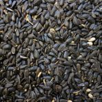 Papağan Çekirdek Yemi 1 Kg Ufak Taneli Ücretsiz Kargo