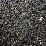 Papağan Çekirdek Yemi 500 G Ufak Taneli