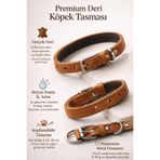 Papağanhane Premium %100 Ham Deri Küçük Irk Köpek Tasması | Neopren Astarlı | Boyun Dostu