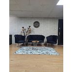 Papatya Çay Seti Koltuk Takımı Krom Sivriltme Ayak, Balkon, Salon, Ofis, Cafe Koltuk Takımı Siyah Renk Tek Ebat Beden