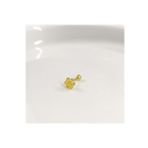 PAPATYA GÜMÜŞ TRAGUS PIERCING - RODYUM BEYAZ